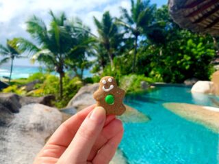 .
.
Merry Christmas to you all and wishing you a fabulous 2021 that makes up for everything 2020 has shown us! Love Amanda xo 
.
#seychelles #seychellesisland #seychellesislands #praslin #praslinisland #islandlife #islandvibes #constancelemuria #constancehotels #vacay #praslinseychelles #swimupbar #christmascocktails